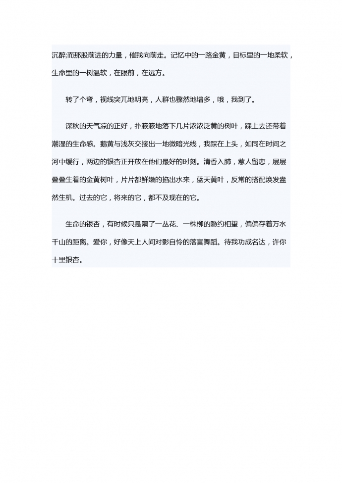 被銀杏吸引-1