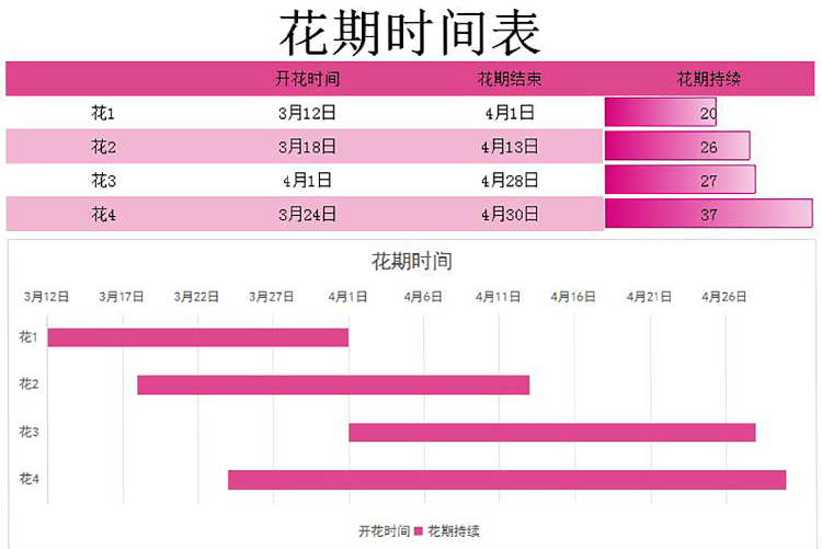 紫羅蘭紅色系花期時間表甘特圖模板-1