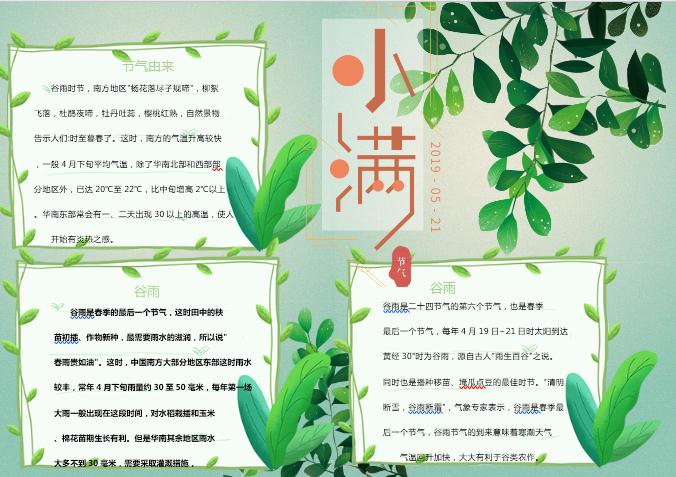 清新簡潔小滿小報Word模板