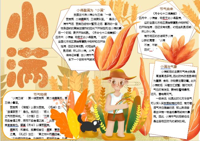金黃清新小滿節(jié)氣手抄報word模板