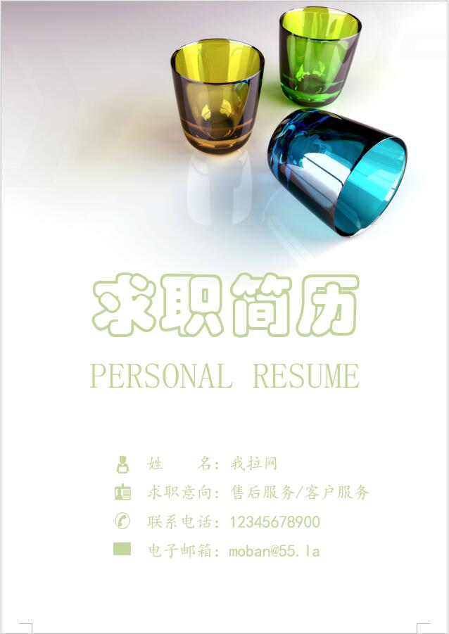 熒光綠個(gè)性風(fēng)汽車(chē)售后服務(wù)簡(jiǎn)歷模板