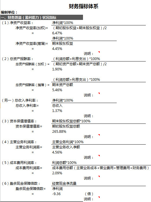財務分析系統明細表-1