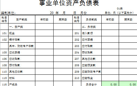 資產(chǎn)負(fù)債表、收入支出表-1