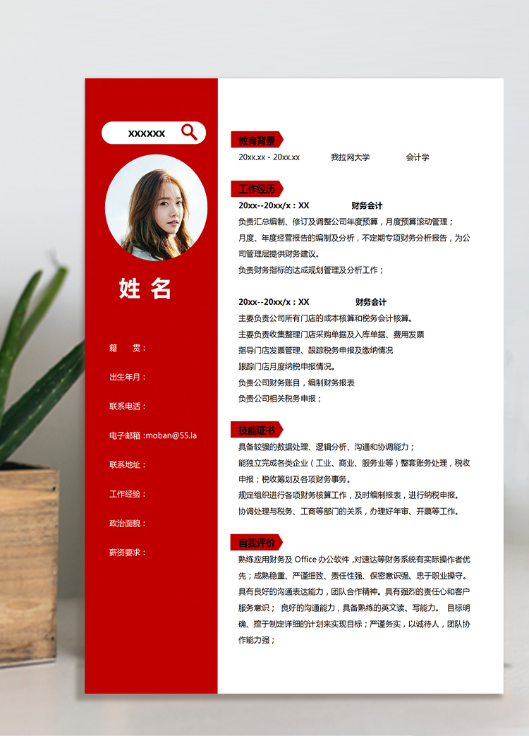 中國紅簡潔風財務審計個人簡歷模板