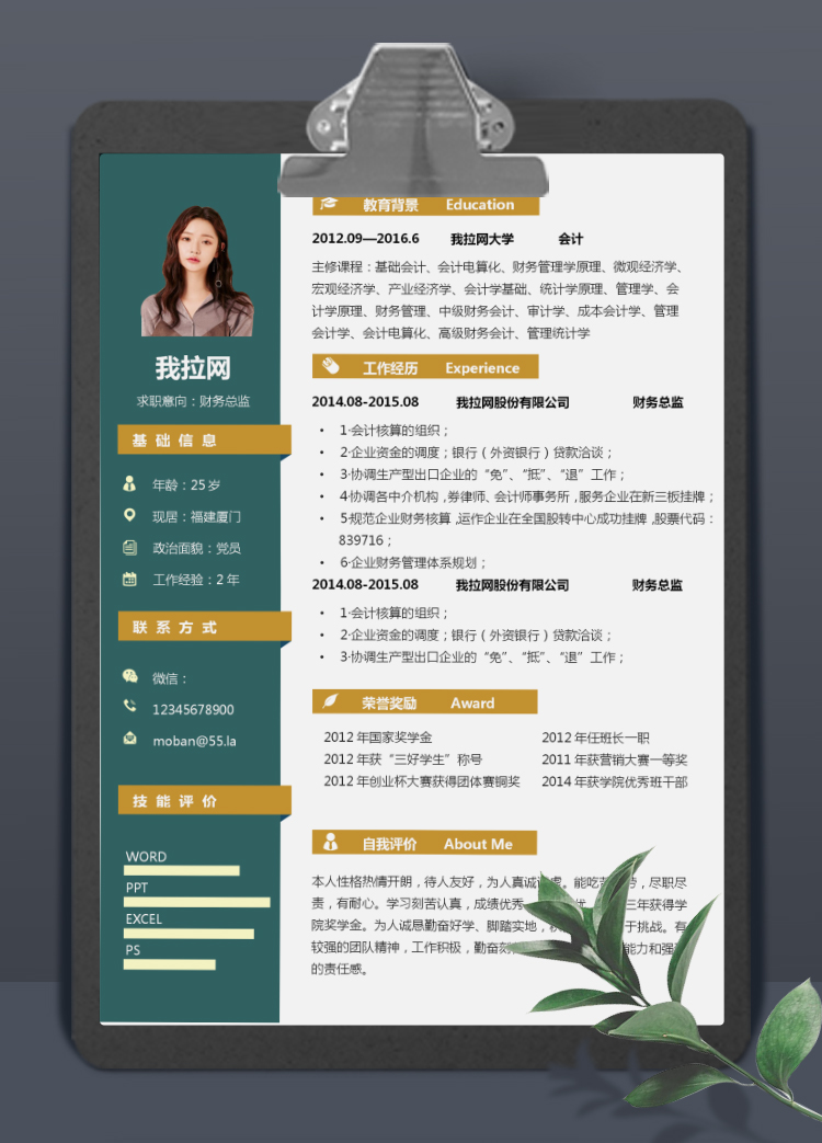 墨藍黃高端風財務總監個人簡歷模板