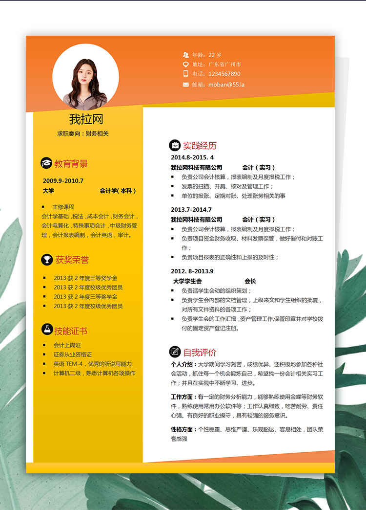 橘黃色創(chuàng)意風格財務(wù)相關(guān)個人簡歷模板-1