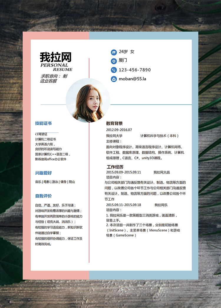雙色拼接時尚制造業(yè)客服簡歷模板