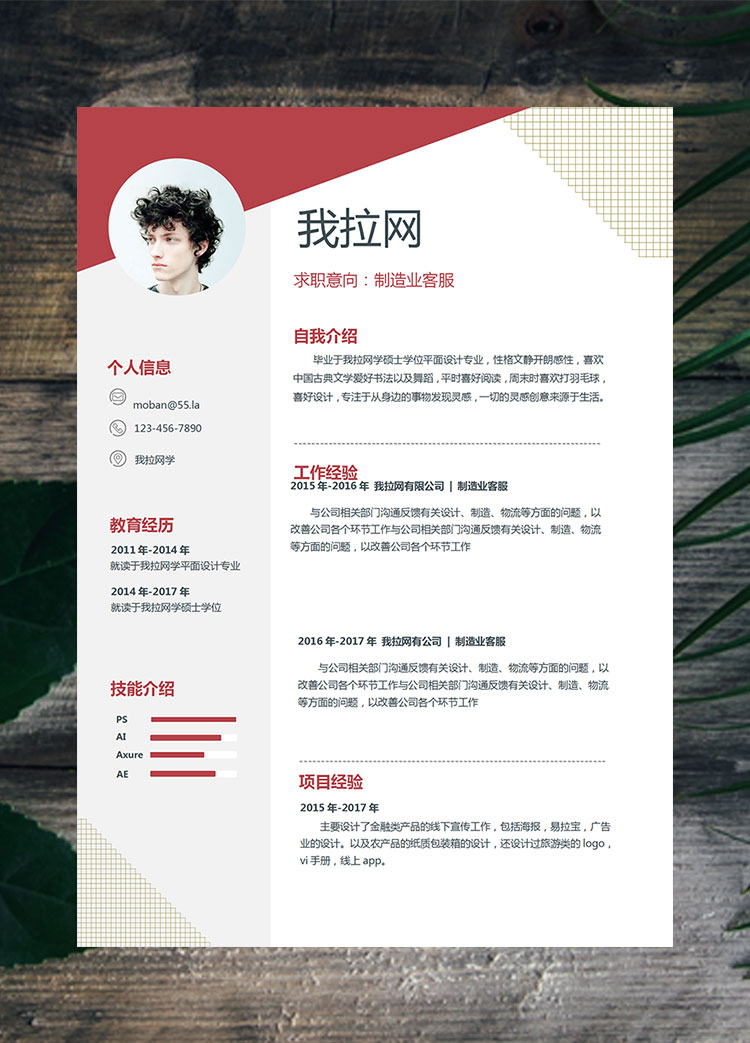 棗紅色創意風制造業客服簡歷模板