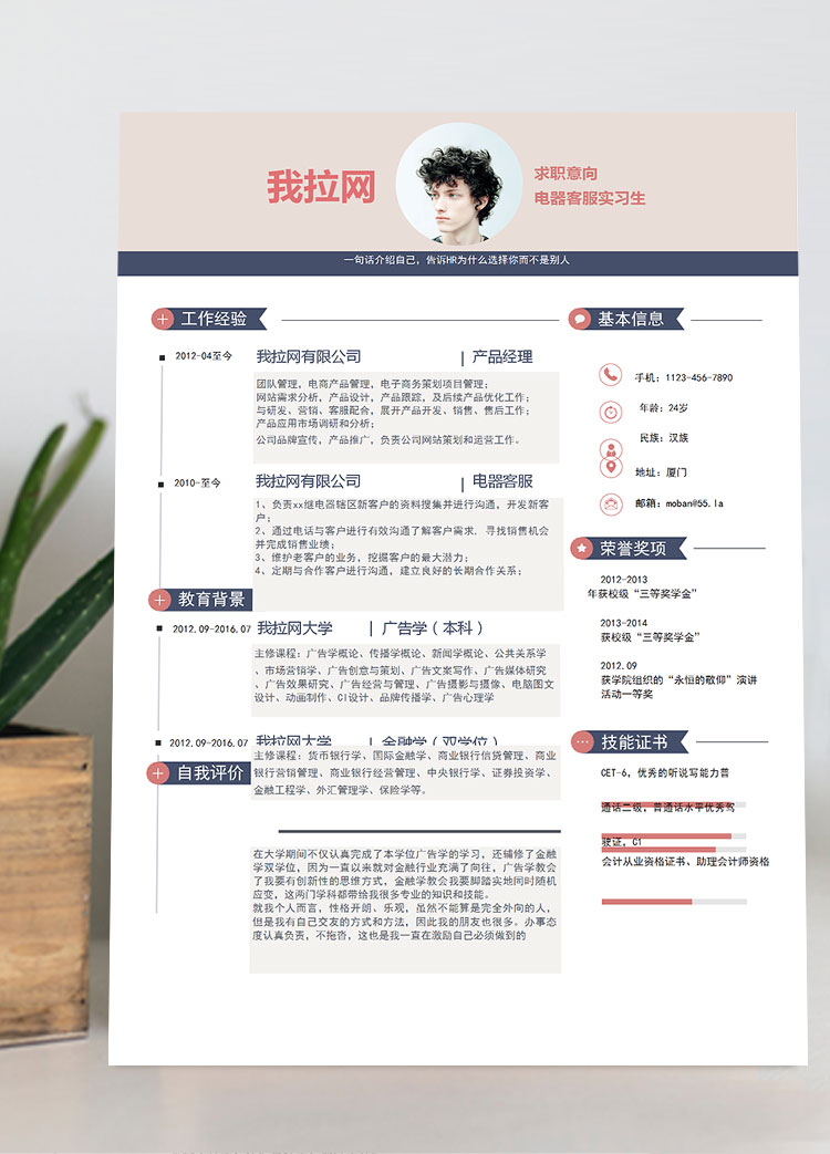 淺紫色創(chuàng)意風(fēng)電器客服簡(jiǎn)歷模板