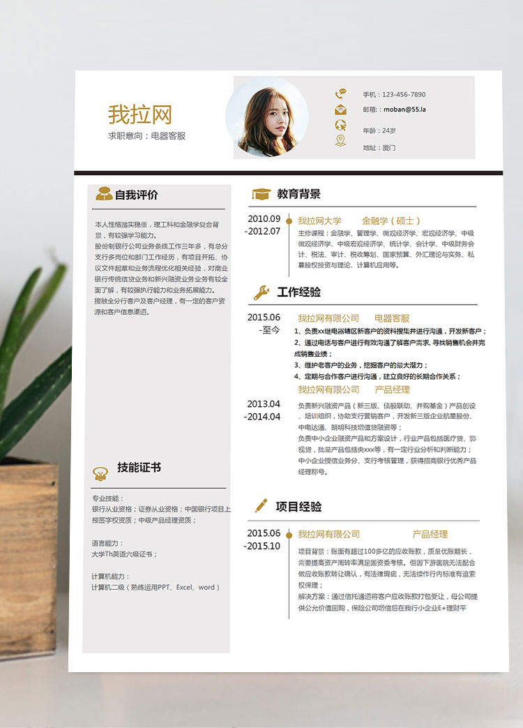 金色創(chuàng)意風(fēng)電器客服簡(jiǎn)歷模板