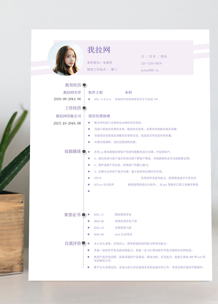 淺紫色創意風電器客服簡歷模板