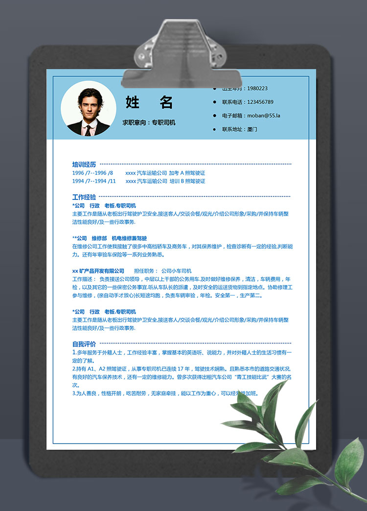 湖藍色精簡風專職司機求職簡歷模板