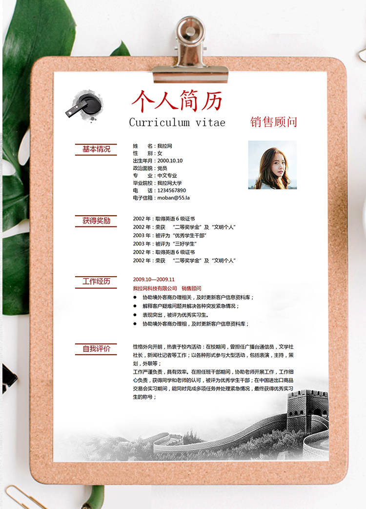 水墨中國風銷售顧問個人求職簡歷模板-1
