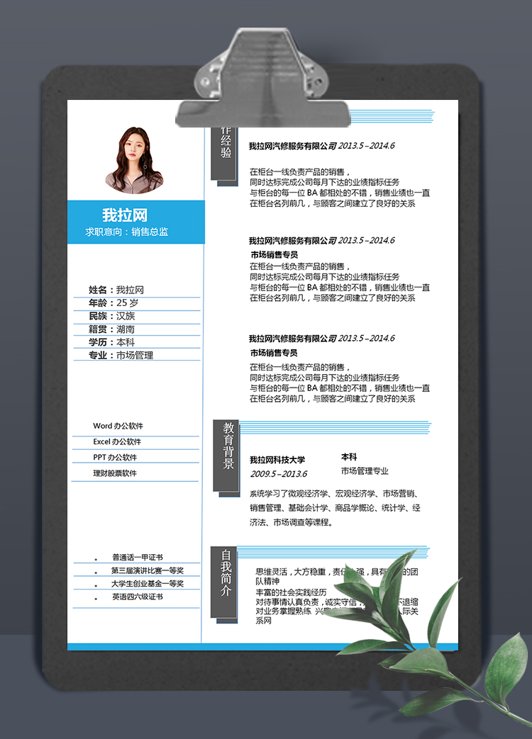 簡約灰藍線條銷售總監簡歷求職簡歷Word模板