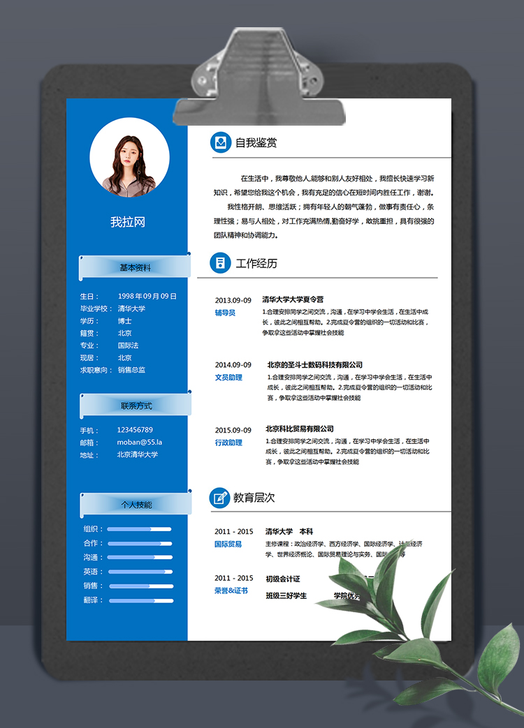 藍(lán)色簡(jiǎn)約大氣銷售總監(jiān)求職簡(jiǎn)歷模板