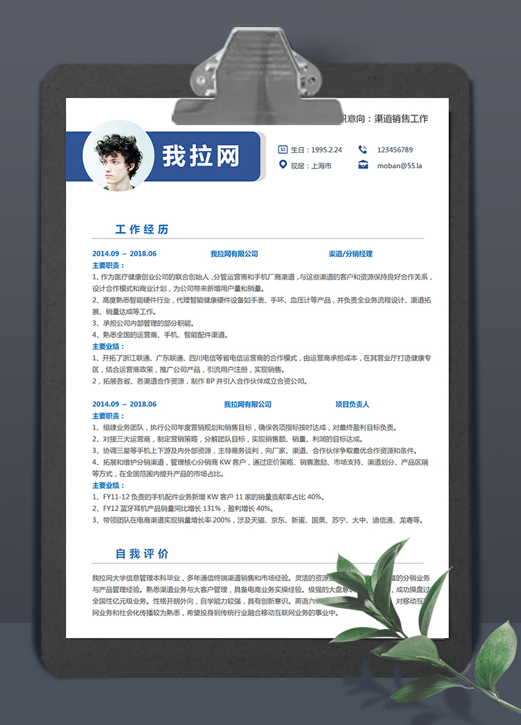藍色時尚大氣渠道銷售3到5年工作經驗簡歷模板