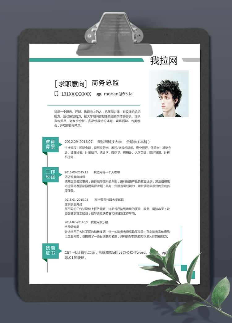 綠條簡約風格商務總監個人簡歷模板