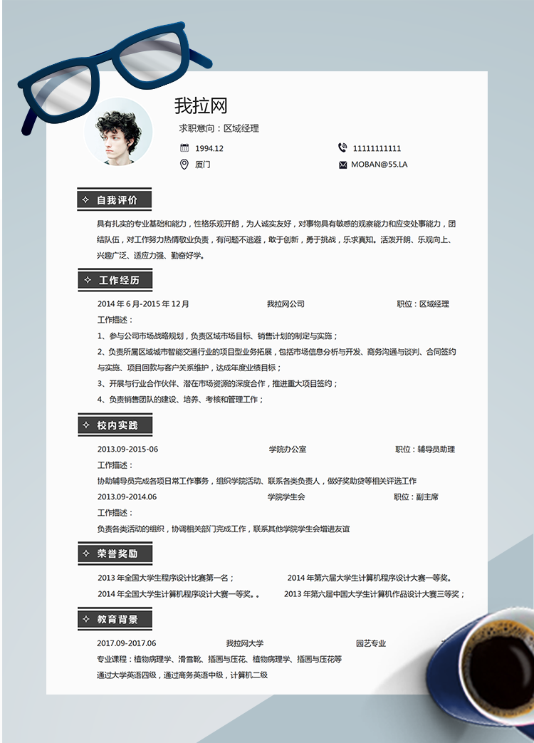 灰色簡約風(fēng)區(qū)域總監(jiān)word簡歷模板