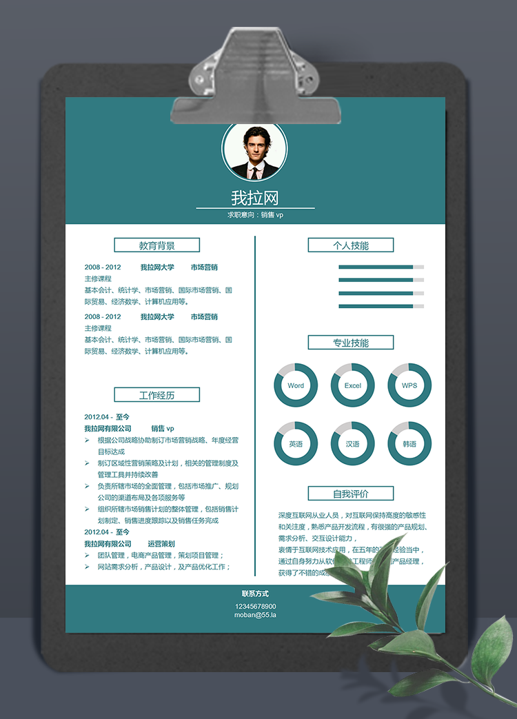 綠色系簡(jiǎn)潔風(fēng)銷售vp個(gè)人簡(jiǎn)歷模板