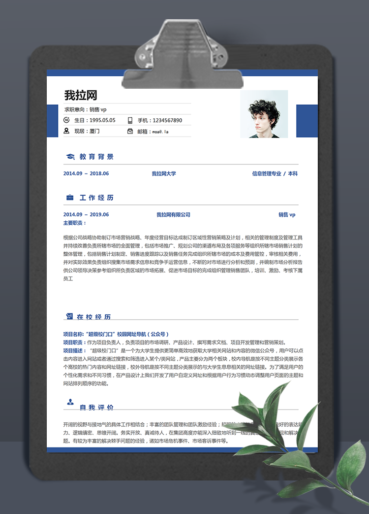 深藍(lán)色系銷售vp個人簡歷模板