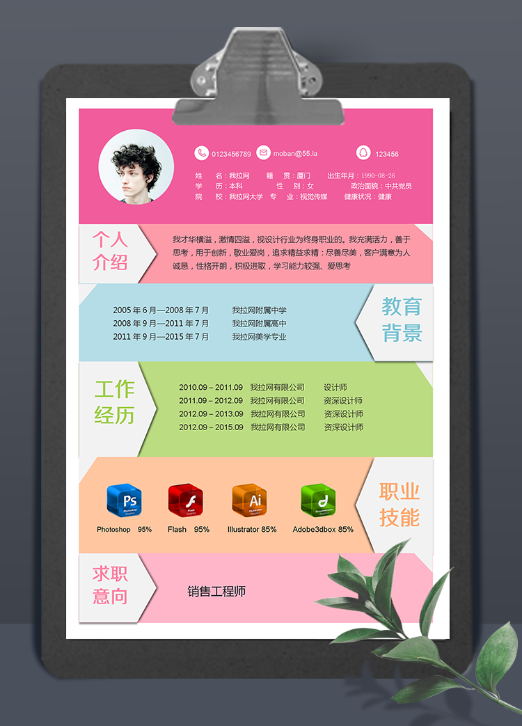 多色簡(jiǎn)潔銷售工程師word簡(jiǎn)歷模板