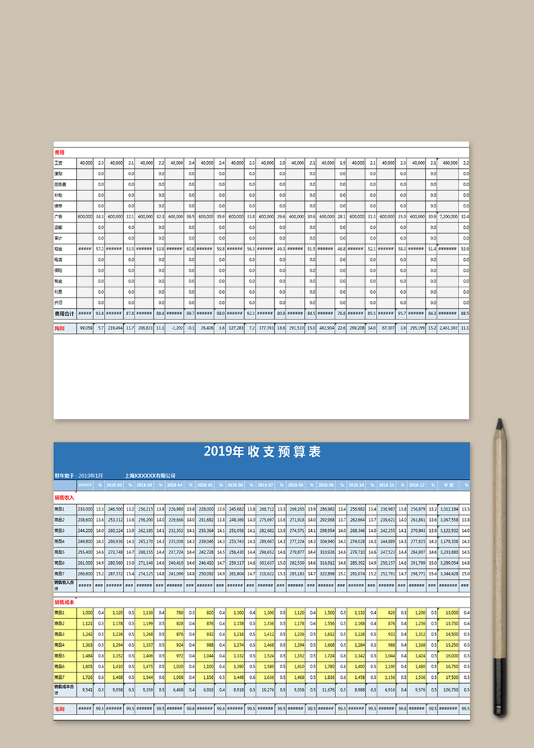 2019年收支預算表
